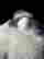 item-130702638=3