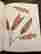 item-130998282=3