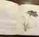 item-130998282=4