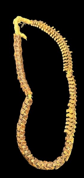 Brown Snake Vertebrae Necklace