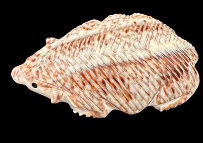Native American Shell Carved Hedgehog Fetish Hallmark Signed