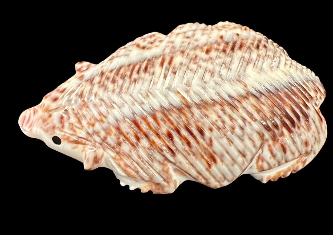 Native American Shell Carved Hedgehog Fetish Hallmark Signed (1 of 3)