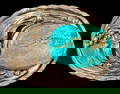 Native American Navajo Silver and Turquoise Belt Buckle Signed J