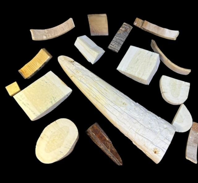 Lot of Sixteen Prehistoric Fossilized Tusk Fragments: Lot of sixteen prehistoric fossilized tusk fragments. Quarter for size. Largest full tooth measures 7". Smallest piece measures .5". Domestic shipping $16.