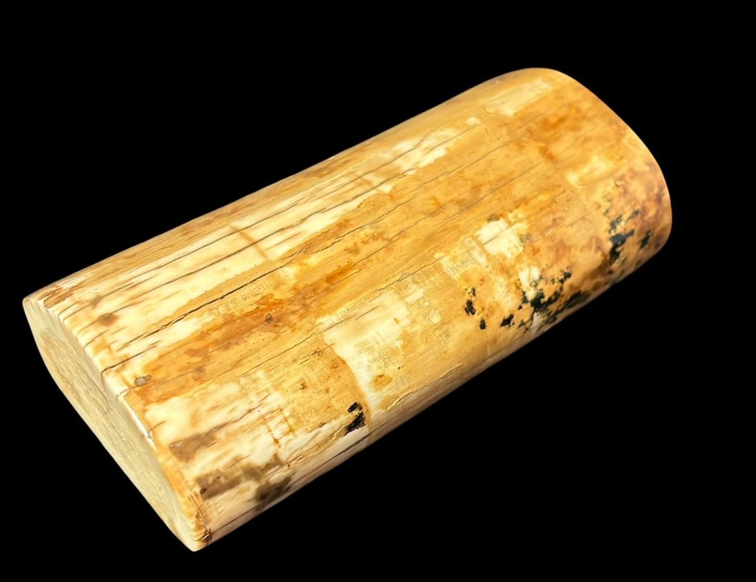 Inuit/Alaskan Native American Tusk Piece: Inuit/Alaskan fossilized tusk piece. Measures 4" x 2". Domestic shipping $10.