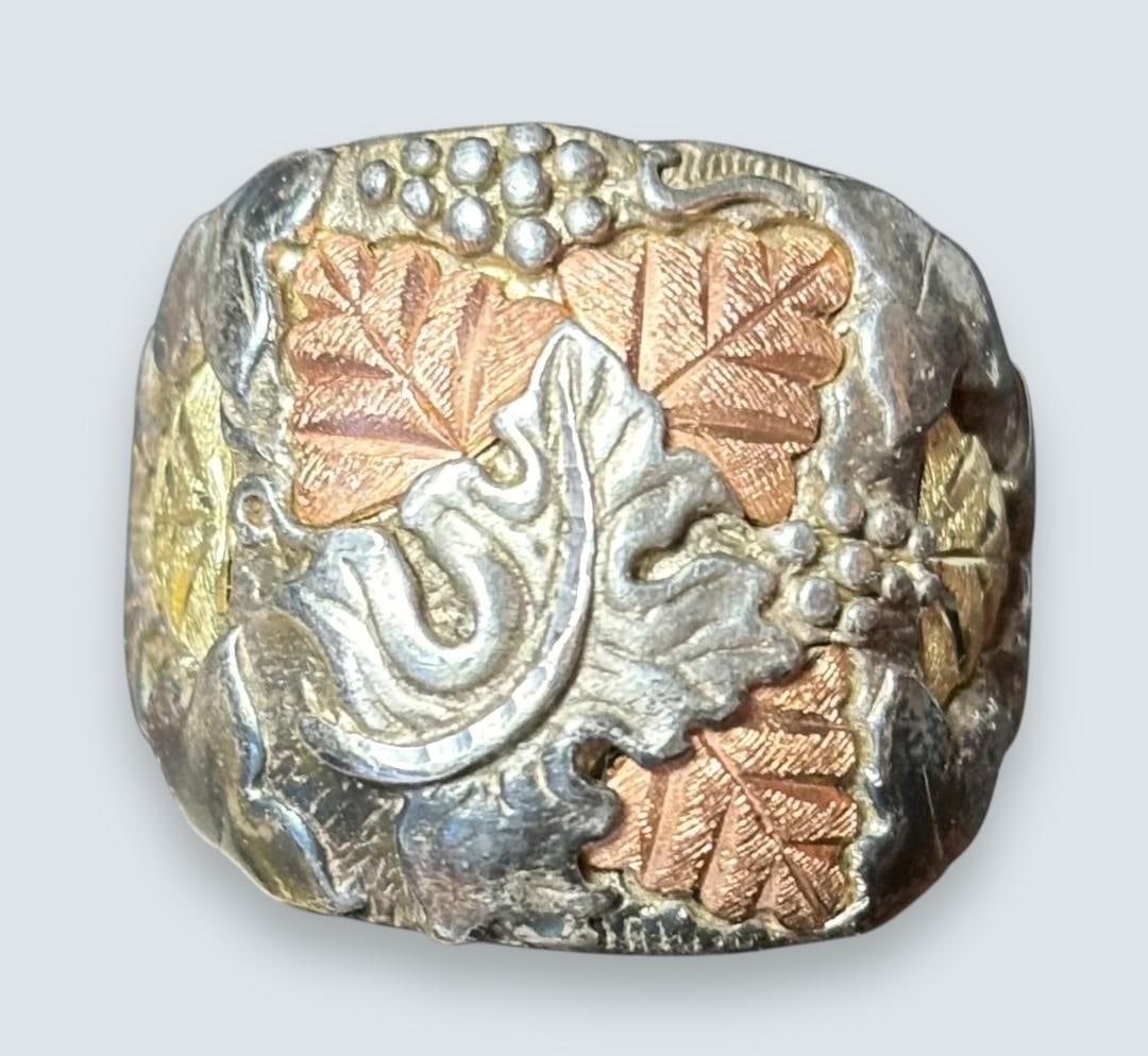 Size 10 Tri-Color Gold and Sterling Ring black hills gold (1 of 4)