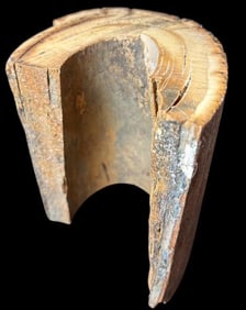 Fossilized Prehistoric Mammoth Tusk Fragment