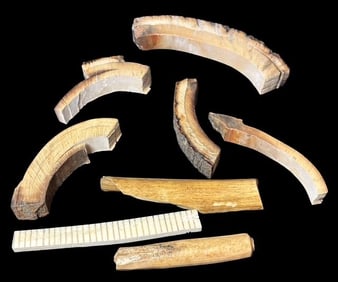 Lot of Eight Prehistoric Fossilized Tusk Fragments