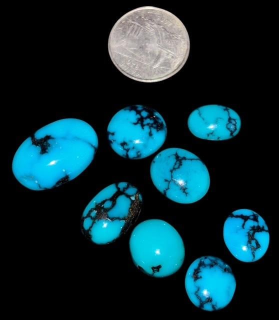 Lot of 8 Turquoise Cabs: Lot of 8 smooth turquoise cabs. Nice rich color and veining. Quarter for size. For in-house shipping, select bidder arranged. Domestic shipping $8.
