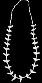 Native American Zuni Carved Shell Bird Fetish Necklace