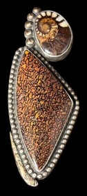 Sterling Fossilized Dinosaur Skin and Ammonite Brooch Signed GH