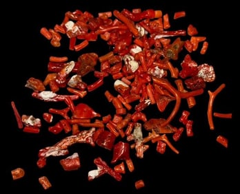 Lot of Red Coral Pieces Drilled