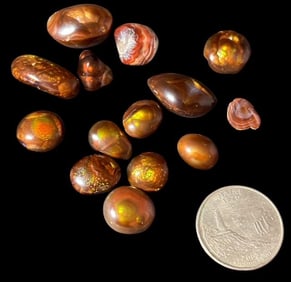 Lot of Thirteen Fire Agate Cabs