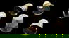 item-206065909=2