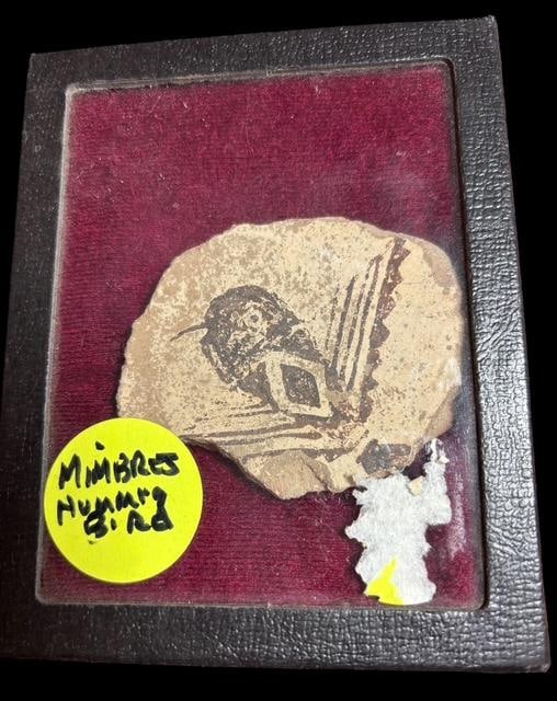 Spectacular Native American Mimbres Pottery Shard (1 of 2)