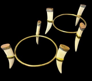 Pair of African Warthog Tusk Decorative Display Stands