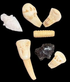 Lot of Nine Ancient Artifacts Bones, Arrowheads, Claw