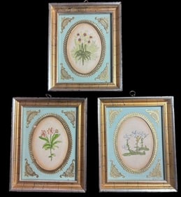 Lot of Three Antique Hand Tinted Floral Prints