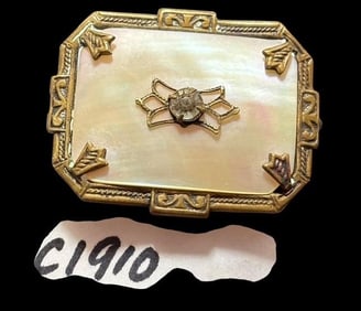 Antique Mother of Pearl Pin Circa 1910