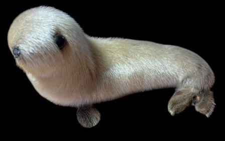 Leather and Fur  Souvenir Inuit Seal Stuffed Animal