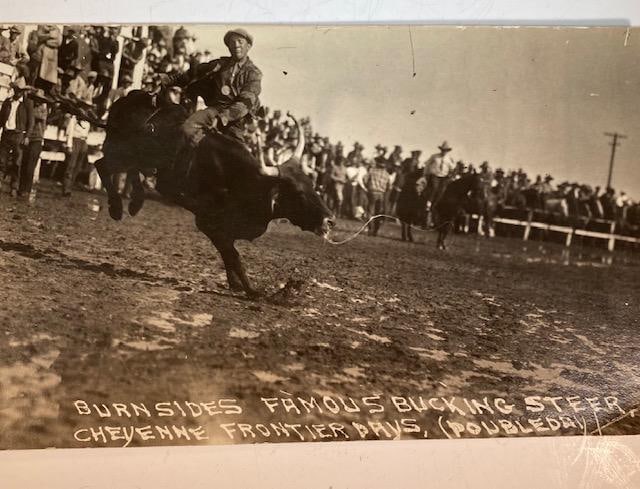 1910-1920 Rodeo Round-up Cowboy Photo: Burnsides Famous Bucking Steer, Cheyenne Frontier Days. Real Photograph Post Card Rodeo, Round-up, Bucking Bronco, photos by R.R. Doubleday and others. Circa 1910s- 1920s.