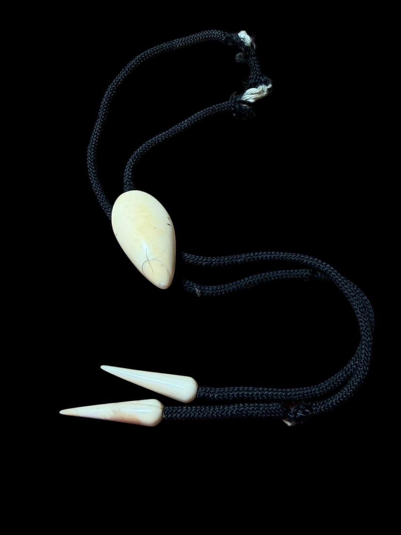 Alaskan Inuit Polished Carved Walrus Tusk Bolo Tie: Alaskan Inuit polished carved walrus tusk bolo tie with tusk tips. Cord measures 30", bolo oval measures 1" x 2" and tips measure 1.5" each.