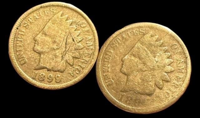Gold Plated Indian Head Penny Screw Back Earrings: Gold plated Indian head penny screw back earrings. Dated 1899. Measure about .5" across.