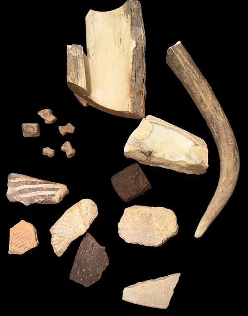 Lot of Petrified Wood and Pottery Sherds: Lot of petrified wood and pottery sherds. Found pre-1940. See photos for size.