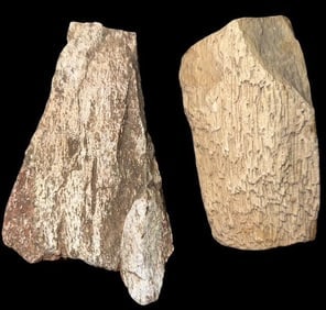 Lot of Two Pieces of Petrified Wood (1 of 3)