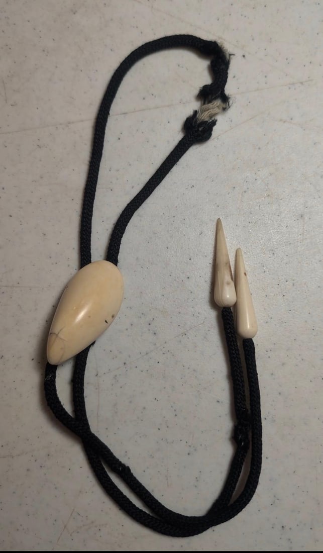 Bolo Tie With Polished Bone/Tooth (1 of 2)
