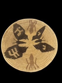 Choco Basket of the Darien: Choco basket, also known as Darien Rainforest baskets. From the border of Panama/Columbia. Spider design woven into basket. Has original informational tag still attached. Measures 1.25" x 6.75".