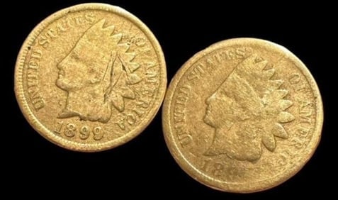 Gold Plated Indian Head Penny Screw Back Earrings: Gold plated Indian head penny screw back earrings. Dated 1899. Measure about .5" across.
