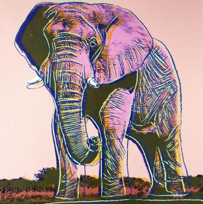 ANDY WARHOL | AFRICAN ELEPHANT Screenprint on Board: ANDY WARHOL | AFRICAN ELEPHANT (F. & S. II.293) Screenprint in colors, 1983Screenprint in colors on lenox museum board Unsigned proof (outside the edition) 38" x 38" (sheet) Printer: Rupert Jasen Smit