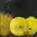 item-111897427=2