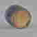 item-110803234=3