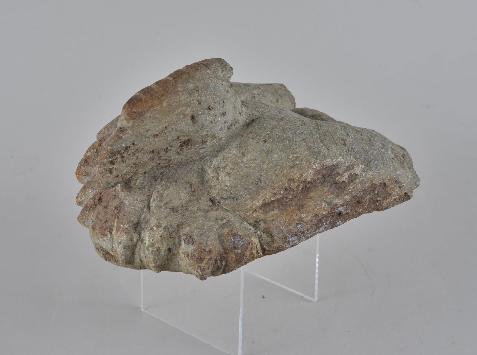 Charles Simmons Folk Art Stone Carving (nesting bird) (1 of 5)