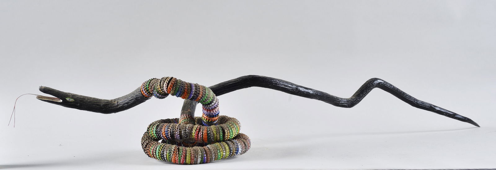 RE Bottle Camp Root Snake (1 of 5)