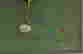 item-110803974=3