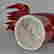 item-115343010=12