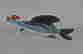 item-115343037=4