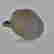 item-115343250=4