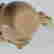 item-119691459=3