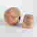 item-119691570=3