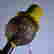 item-121566622=3