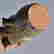 item-126051799=4
