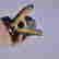 item-127050063=4