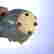 item-131234706=3