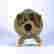 item-131234884=2