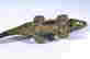 item-131234909=3