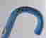 item-131235019=5